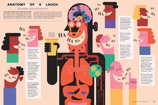 Example of a cool infographic on the anatomy of a laugh