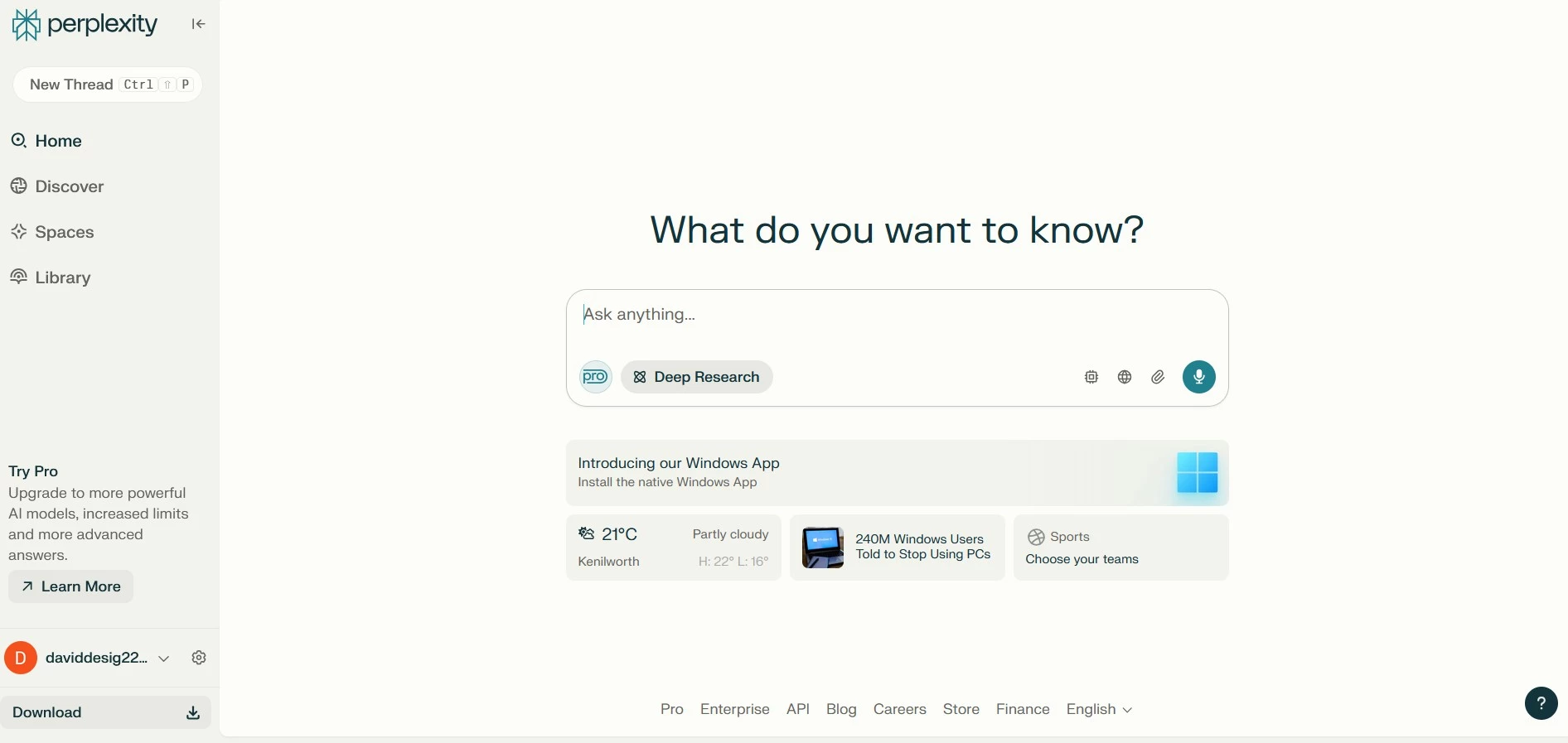 Perplexity interface