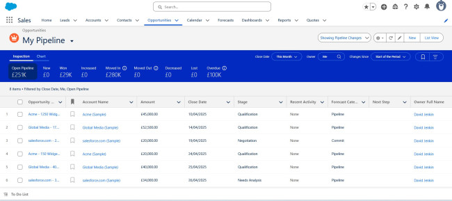 Salesforce Opportunities