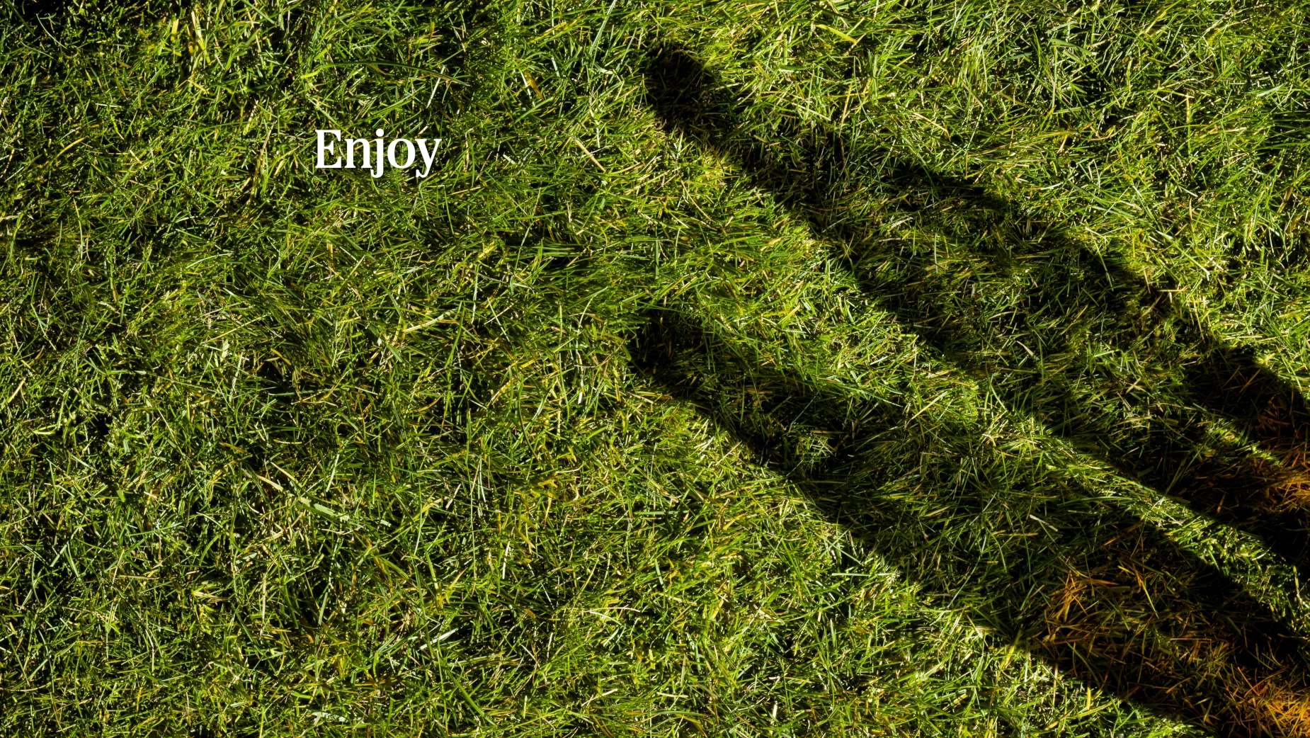 Coca-Cola bottles casting a shadow on grass | Source: Coca-Cola