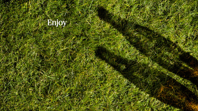 Coca-Cola bottles casting a shadow on grass | Source: Coca-Cola Coca-Cola bottles casting a shadow on grass | Source: Coca-Cola