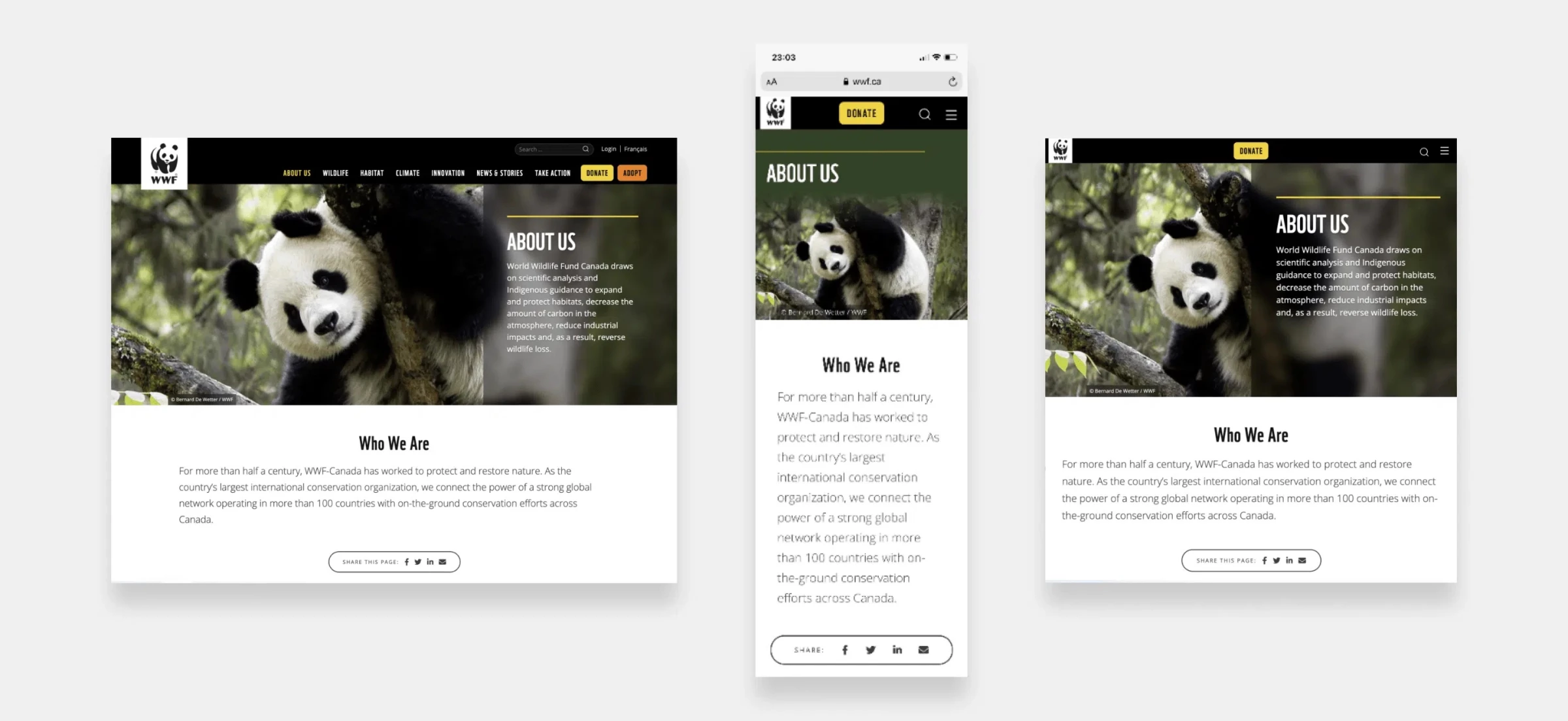 WWF’s Website Redesign WWF's Website Redesign