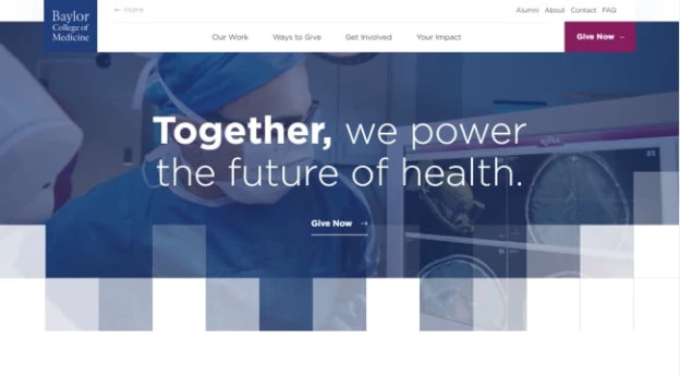 Baylor College of Medicine website design.