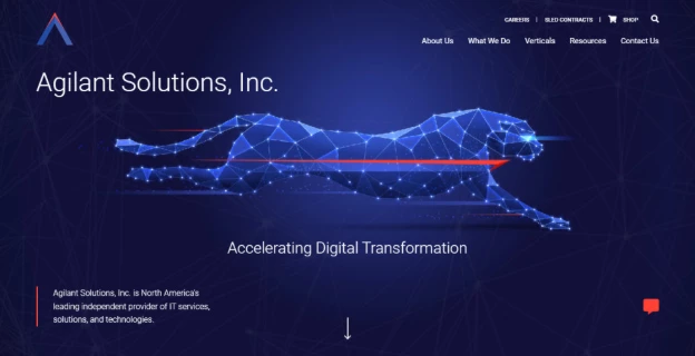 Agilant Solutions website design.