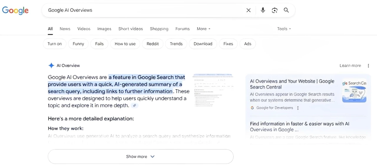 An Example of a Google AI Overview