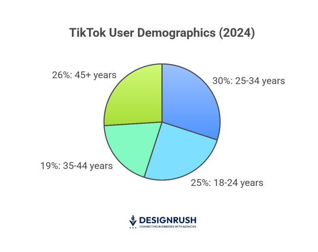 A breakdown of TikTok’s user demographics.