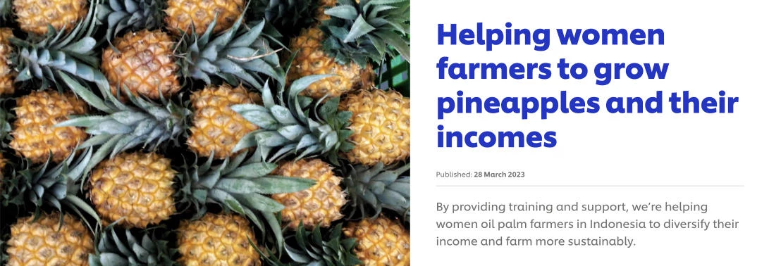 Unilever’s Pineapple Diversification Program Screenshot of Unilever’s Pineapple Diversification Program’s PR page
