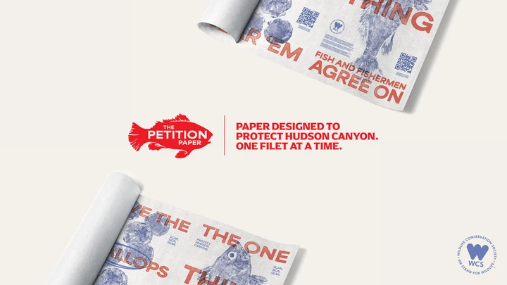 The Petition Paper
