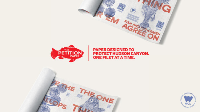 The Petition Paper The Petition Paper