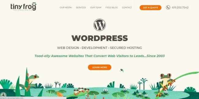 San-Diego-web-design-TinyFrog-Technologies San Diego website design companies: TinyFrog Technologies