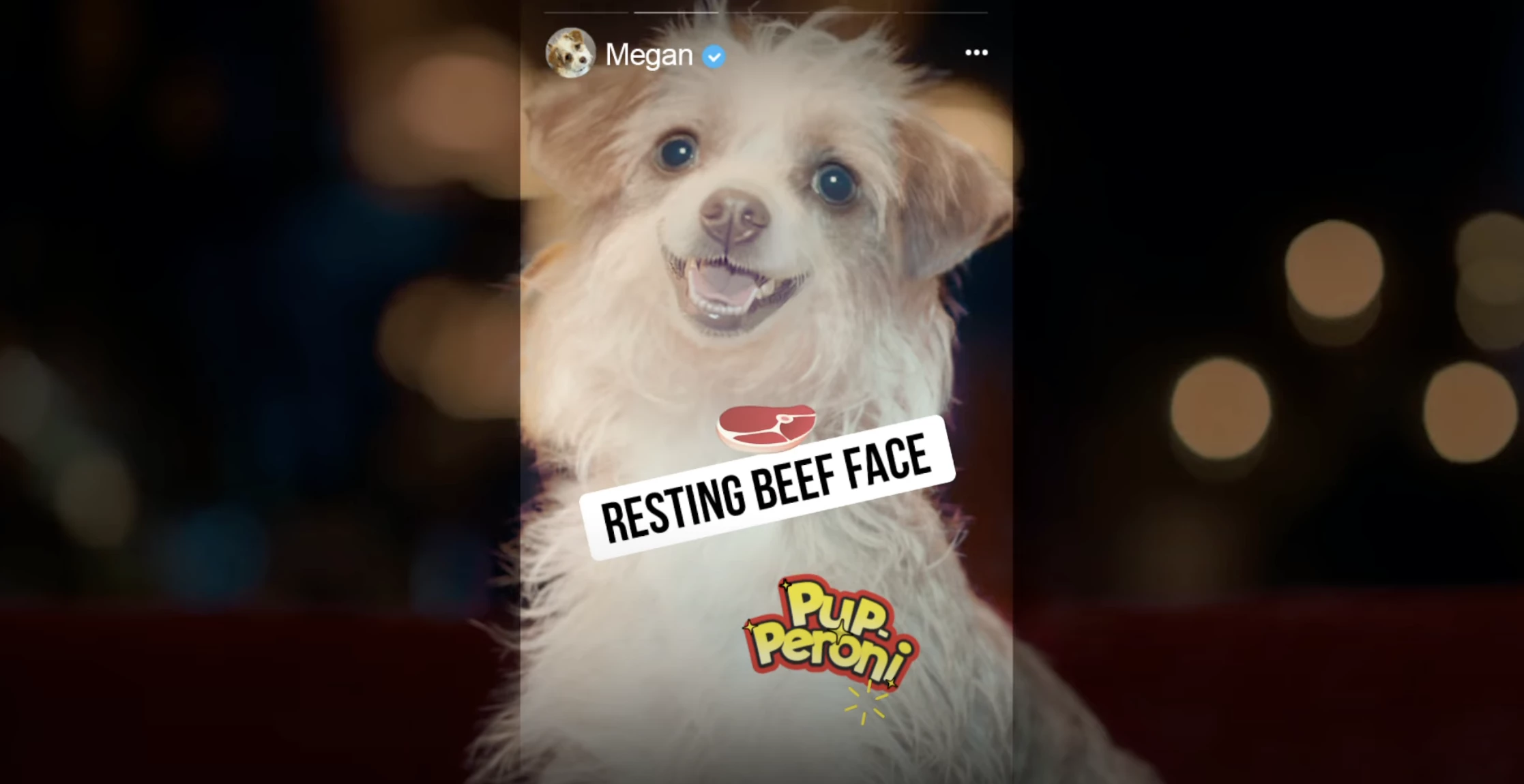 Pup-Peroni's 'Treat The Best To The Best' Spot | Source: Pup-Peroni