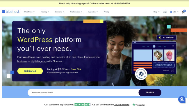 bluehost bluehost website