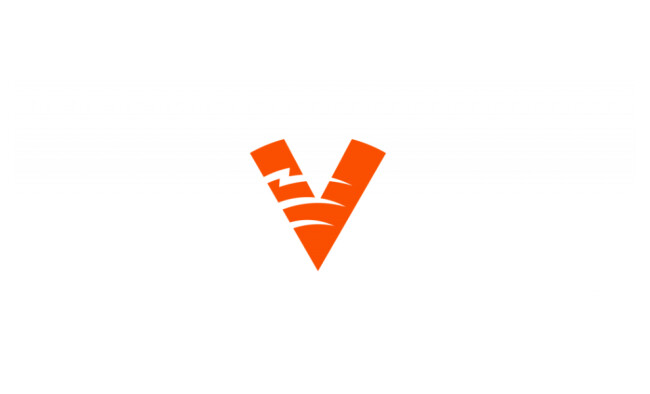 Virtus Pro logo design