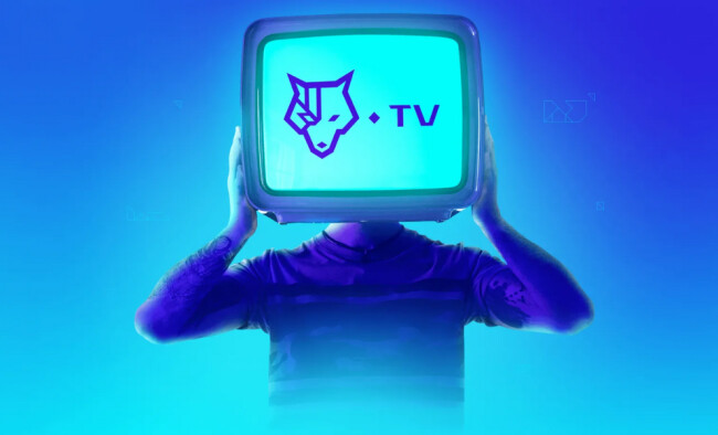 Cyber Wolves logo design