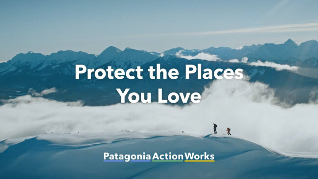 Patagonia purpose-led creative branding strategy.
