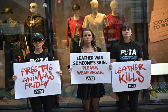Peta's Protest Towards Urban Outfitters' Use of Leather