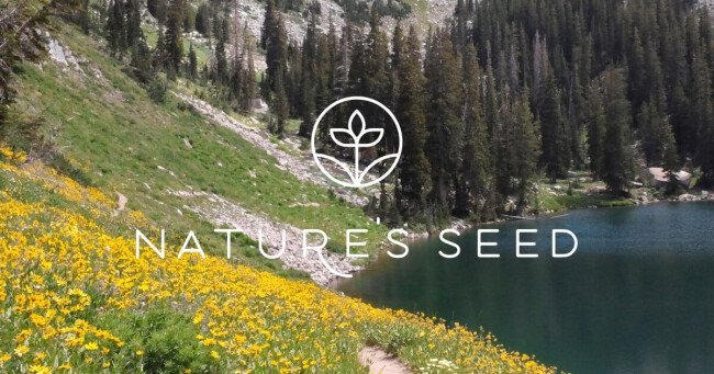 Nature's Seed Official Banner Nature's Seed Official Banner