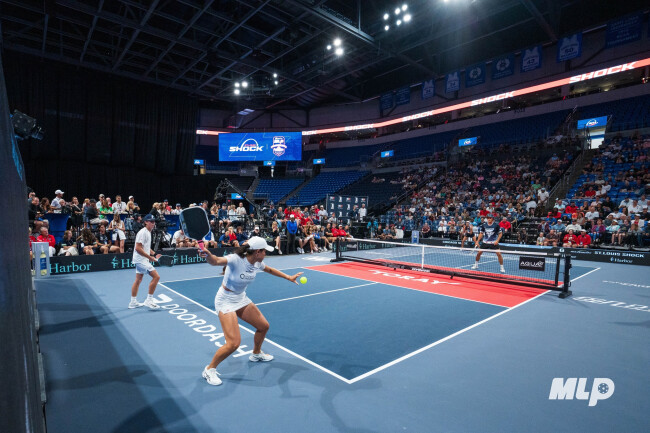 Pickleball game from Dominator's official site Pickleball game from Dominator's official site