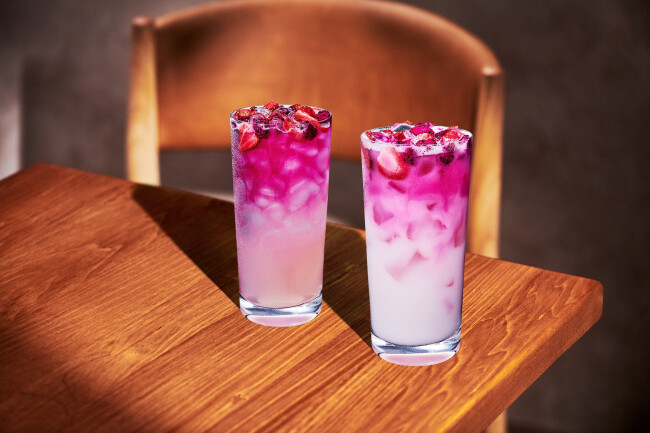 The Pink Canon Ball Drink will be available on March 3.