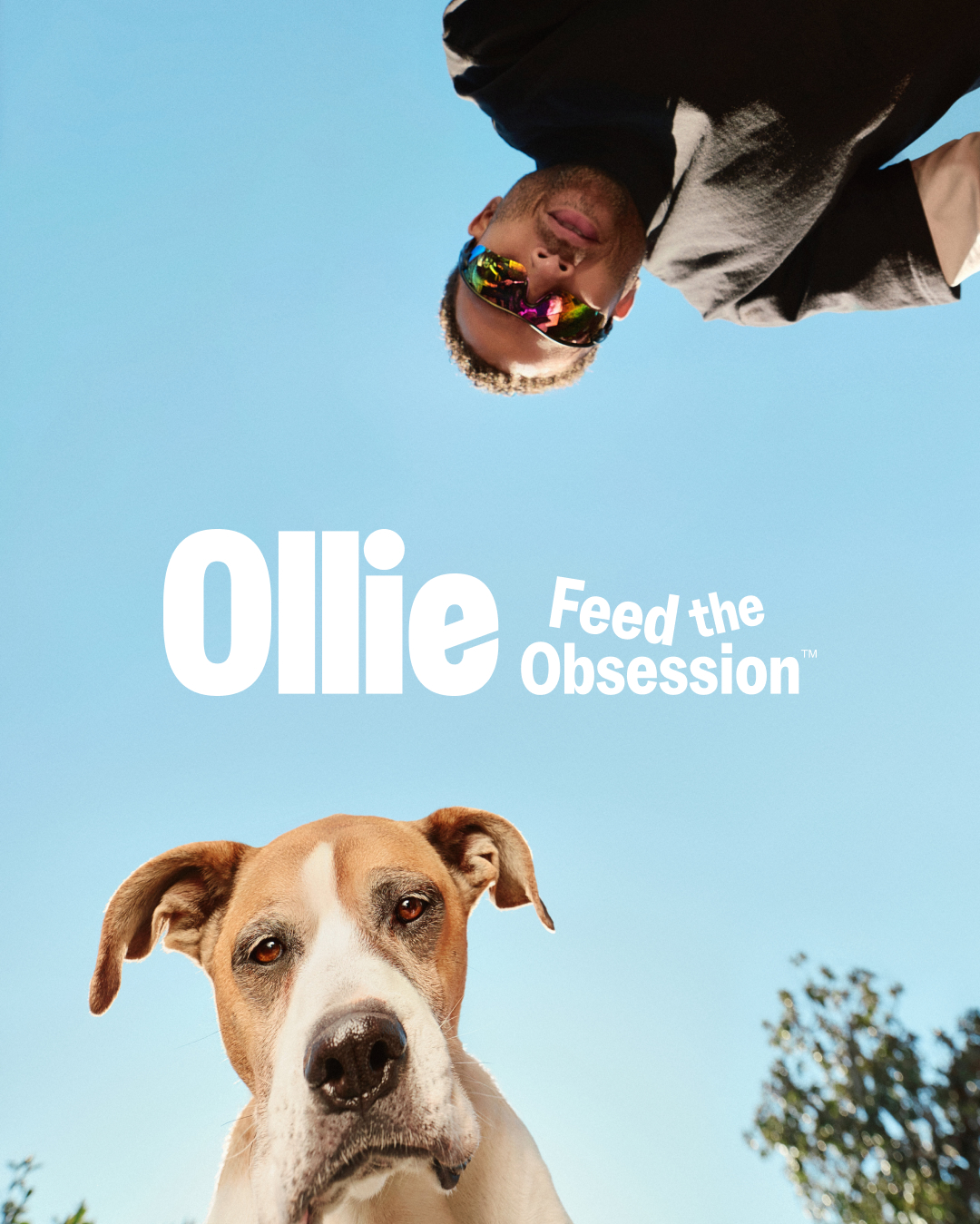 One of the two versions of Ollie's 'Feed the Obsession'